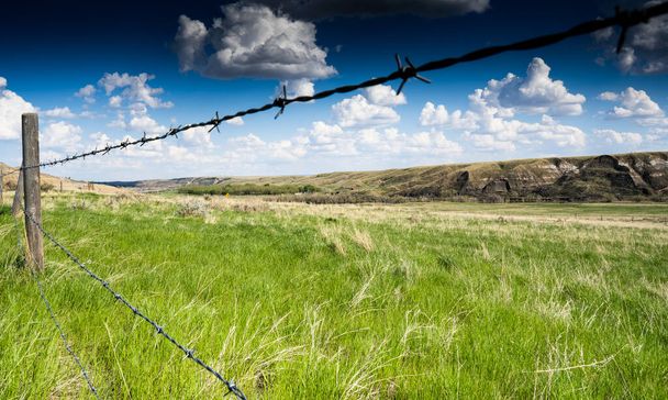 An old barbed wire fence over looking a pasture along the South Saskatchewan river valley in Alberta Canada. - Fotografie, Obrázek