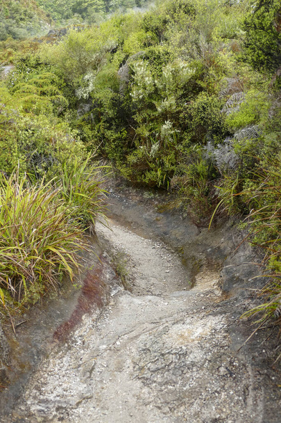 Tájkép a geotermikus völgy körül Te Puia Új-Zélandon - Fotó, kép