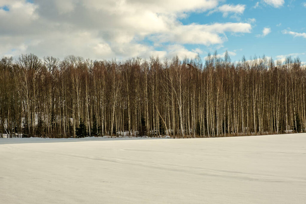 zasněžená pole v zimě u lesa. tmavý zasněžený obrázek okolí - Fotografie, Obrázek