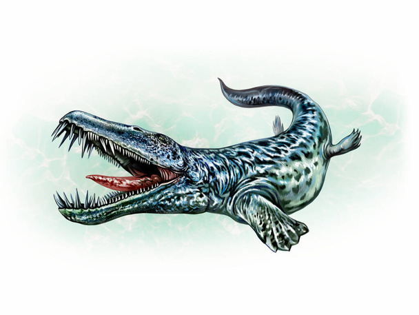 Dakosaurus, antiguos cocodrilos de agua salada, dibujo realista, ilustración para la enciclopedia de animales extintos, imagen aislada sobre un fondo blanco - Foto, imagen