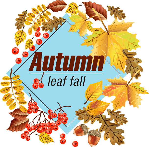 Impresión, hojas de otoño, otoño, hojas, caída de la hoja, caída de la hoja pintada, cubierta del folleto, hojas están volando, corona de otoño, composición de otoño en azul - Vector, Imagen