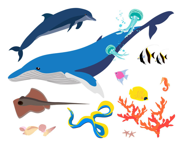 Algunas de las criaturas marinas y oceánicas establecidas - Vector, imagen