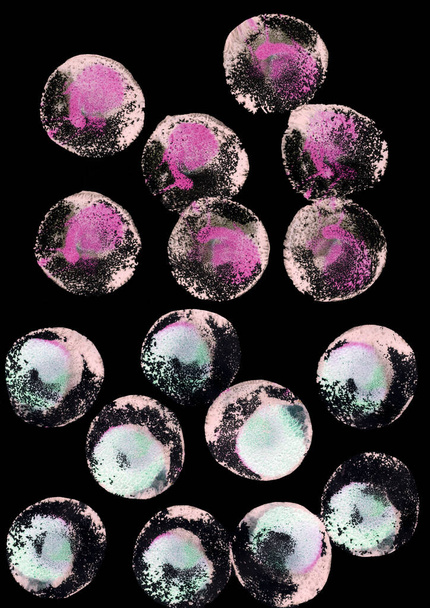 Simple abstract background with bubbles, confetti. Blue, pink rainbow watercolor dots (circles) on black. Perfect for greeting card, postcard, poster, logo, textile, fabric, packaging, wrapping paper. - Foto, imagen