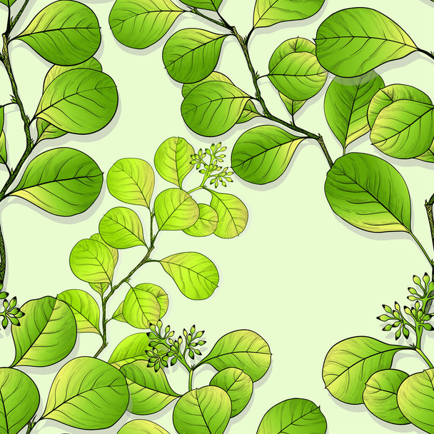 Branch with leaves. Vector image. Seamless pattern.  Floral motives. Use printed materials, signs, textile prints, websites, maps, posters, postcards, packaging. - Vetor, Imagem
