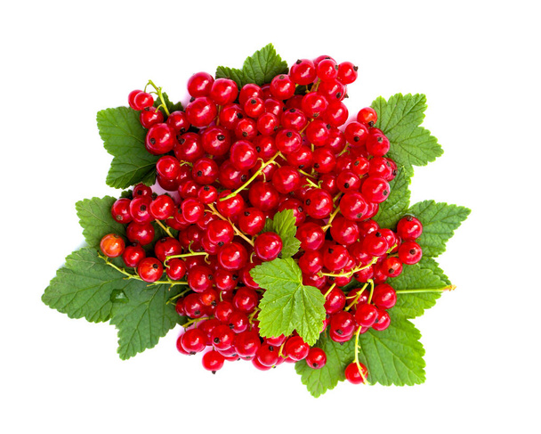 Redcurrants and green leaves on a white background. Top view, flat lay - Foto, imagen