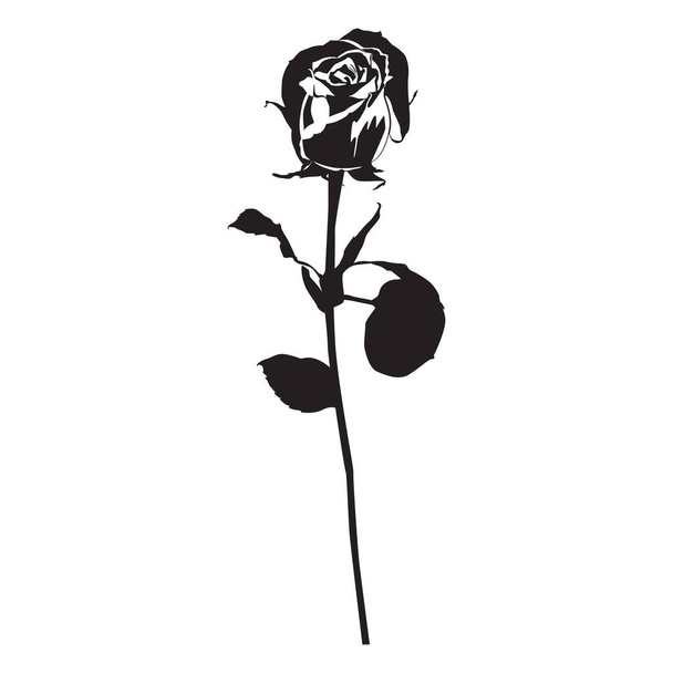Rose flower black silhouette, vector illustration. Blooming garden flower - Διάνυσμα, εικόνα