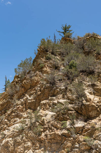 Los Padres National Forest, CA, USA - 8 april 2010: Close-up van scherp gebroken geel geteelde rotsachtige flank van de berg met dunne groene struik onder de blauwe hemel. - Foto, afbeelding