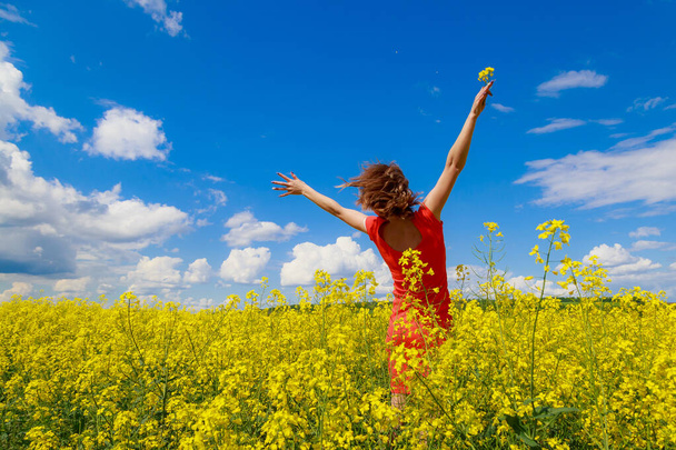 Kırmızı elbiseli, kolları gökyüzüne fırlatılan sarı kolza tohumu tarlasında genç bir kadının arkası. Mutluluk ve özgürlük kavramı - Fotoğraf, Görsel