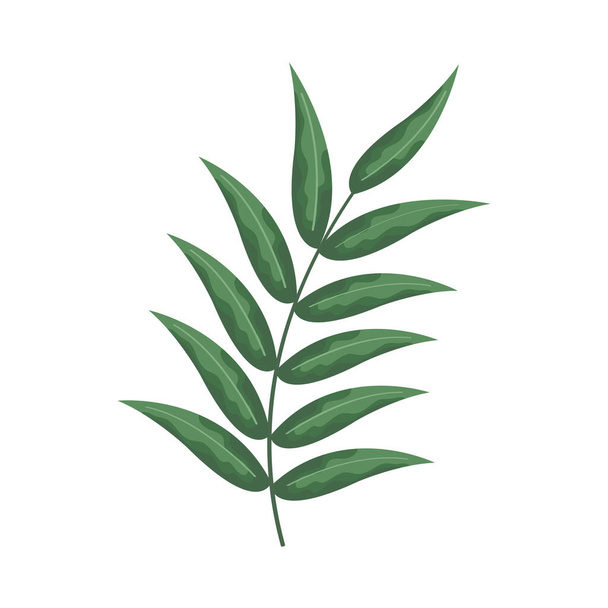 branch with big leaves - Διάνυσμα, εικόνα