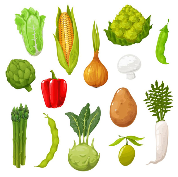 Sarjakuva vihanneksia, maatilan sato tai viljelijä markkinoilla vihanneksia. Lehtisalaatti, retiisi, herne, papu ja pippuri, peruna, sipuli ja maissi, kiinankaali, kukkakaali ja artisokka, parsa - Vektori, kuva