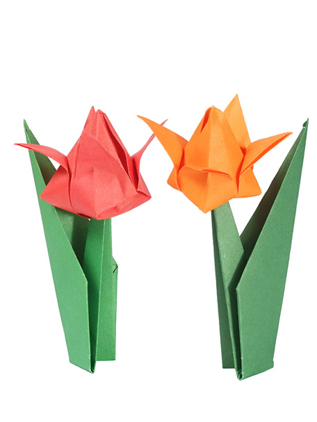 Origami tulips - Photo, Image