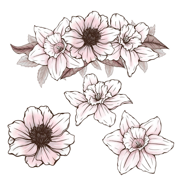 Elegant narcissus and poppy flowers, garden flowers illustration, summer florals, wedding design elements - Zdjęcie, obraz