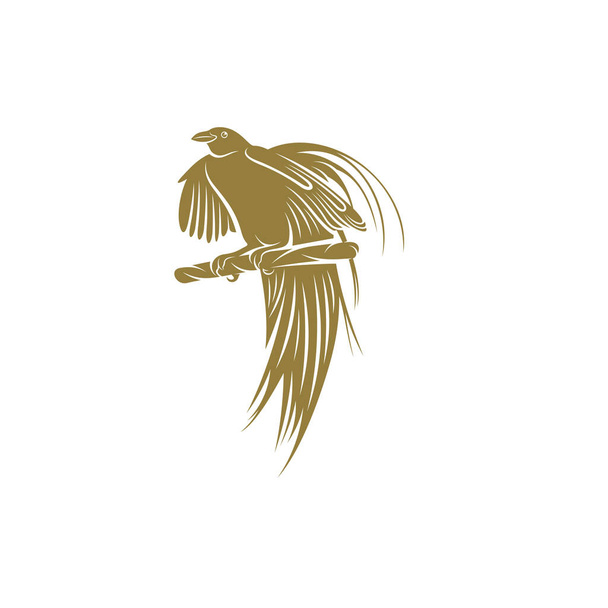 Vogels van het Paradijs ontwerp vector illustratie, Creatieve Vogels van het Paradijs logo ontwerp concept template, symbolen pictogrammen - Vector, afbeelding