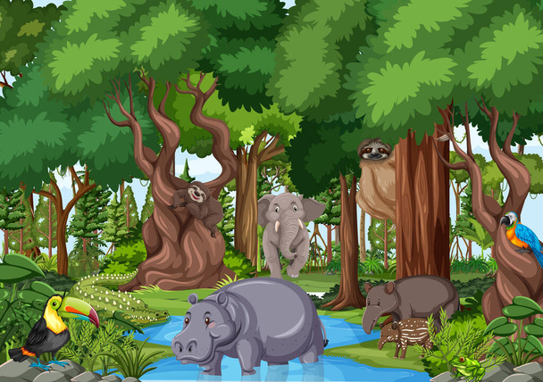 Wild animal cartoon character in the forest scene illustration - Vector, Image