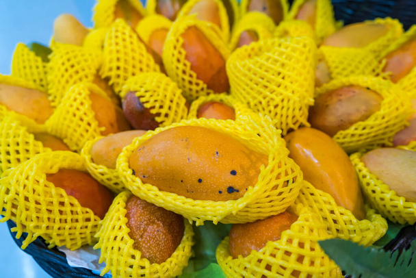 Stapel verse heerlijke rijpe gouden barracuda mango verpakt met schuim net display in supermarkt, dat is beroemd tropisch fruit hebben zoete smaak in Thailand - Foto, afbeelding