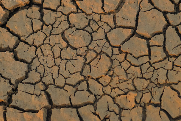  Dry piece of land with cracks on it due to drought - Φωτογραφία, εικόνα