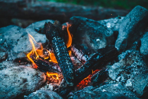 Vivid smoldered firewoods burned in fire close-up. Atmospheric warm background with orange flame of campfire. Unimaginable full frame image of bonfire. Burning logs in beautiful fire. Wonderful flame. - Photo, Image