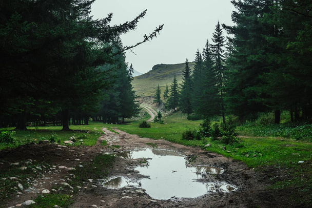 Σκούρο ατμοσφαιρικό δασικό τοπίο με λακκούβα στο χωματόδρομο. Θολωμένο κωνοφόρο δάσος στα βουνά σε βροχερές καιρικές συνθήκες. Τοπίο από σκούρα δάση σε φόντο βραχώδη λόφο. Ξύλινο τοπίο σε βροχερό καιρό. - Φωτογραφία, εικόνα