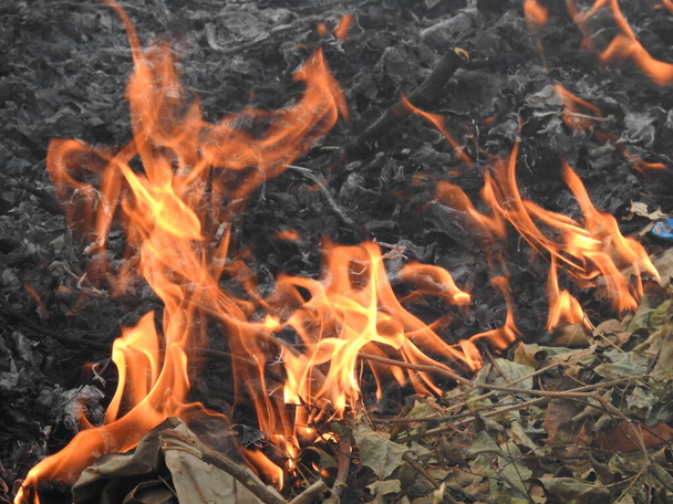 Nahaufnahme wunderschöner, lebendig glimmender Feuerhölzer, die in Flammen aufgingen. Atmosphärisch warmer Hintergrund mit orangefarbener Flamme aus Lagerfeuer und grauer Asche. Wunderbares Vollbild des Feuers. - Foto, Bild