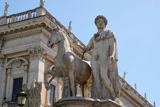 Άγαλμα του Πολυδεύκη με το άλογό του στην Piazza del Campidoglio, το Καπιτώλιο, Ρώμη - Φωτογραφία, εικόνα