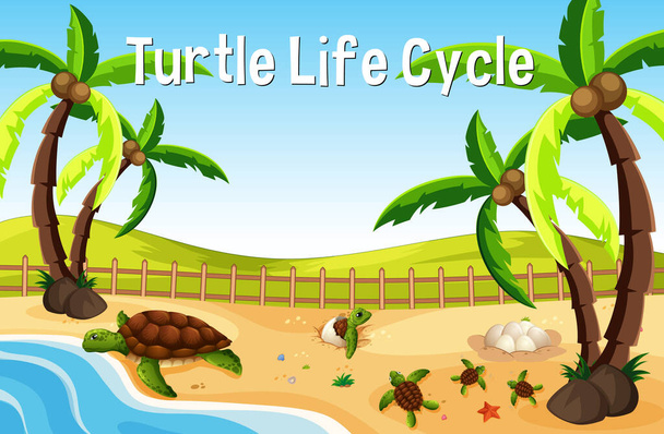 Wiele żółwi na scenie plaży z Turtle Life Cycle Font ilustracja - Wektor, obraz
