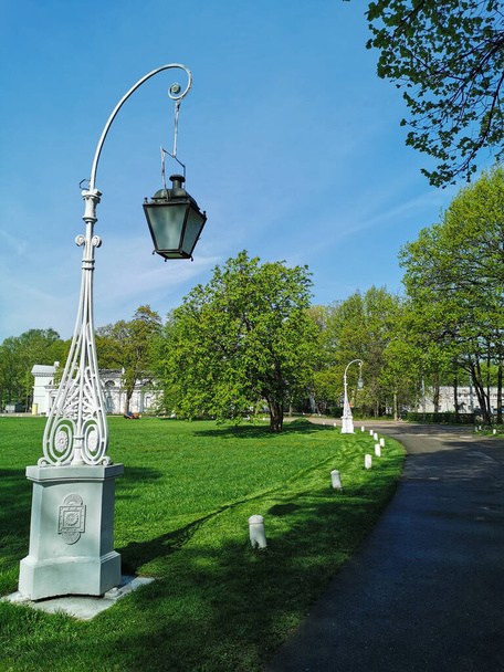 Une route déserte entre les arbres, les pavillons et les lanternes, le matin dans un parc sur l'île Elagin à Saint-Pétersbourg - Photo, image