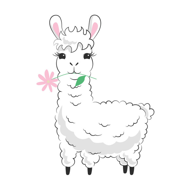 Cute fluffy llama with a flower. Hand drawn white kawaii alpaca. Childish character design. Nursery decoration. Stock vector illustration isolated on white background - Wektor, obraz