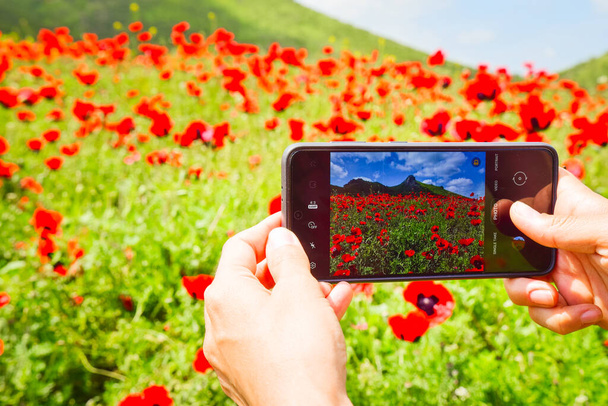 Közelkép kéz tartja okos telefon virágokkal a szabadban a mák virág mező. Okostelefon fotózás és tartalom létrehozása koncepció. - Fotó, kép