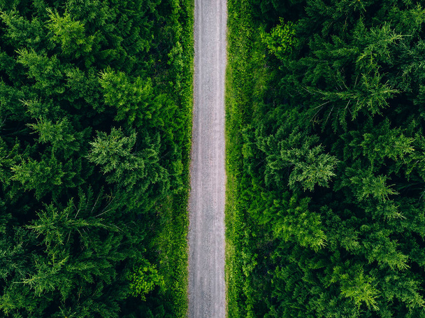 Antenni ylhäältä näkymä tielle vihreässä kuusen metsässä. Vihreä metsä maalaistiellä kesällä Suomessa. - Valokuva, kuva