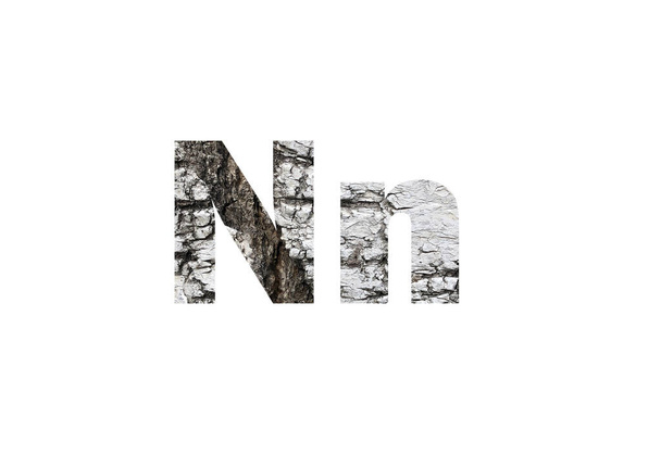 Hintergrundbild aus Birkenrinde. Durch die ausgeschnittene Silhouette des Buchstabens N geschossen - Foto, Bild