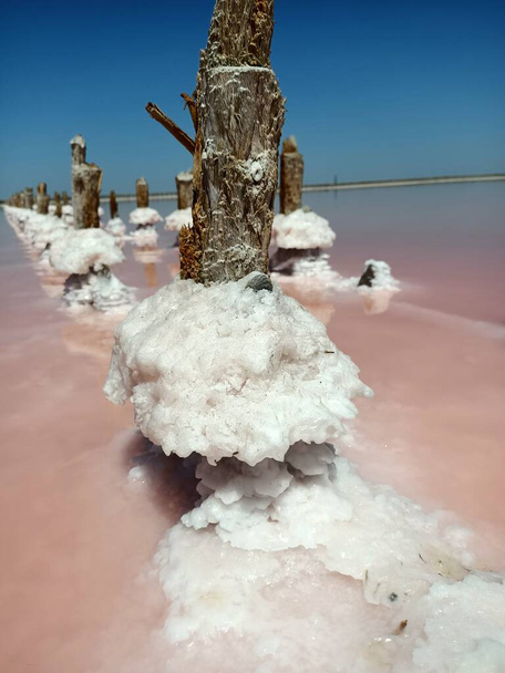 Dřevěný sloupec v zaschlém růžovém jezeře s velkými kousky soli pod modrou letní oblohou - Fotografie, Obrázek