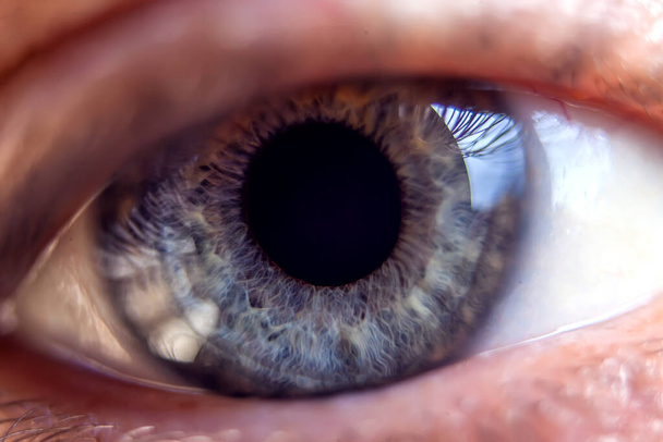Imagen macro del ojo azul humano. Detalles de primer plano - Foto, Imagen
