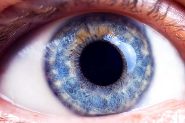 人間の青い目のマクロ画像。詳細を見る - 写真・画像