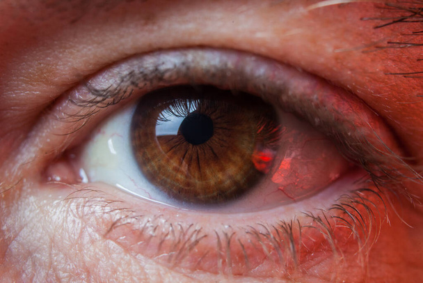 Makroaufnahme des menschlichen traurigen braunen Auges mit Tränen, Nahaufnahme Details - Foto, Bild