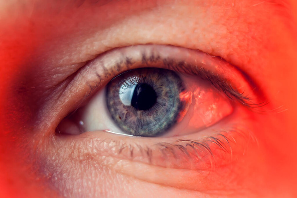 Macro image of human blue eye. Close-up details - Foto, Imagem