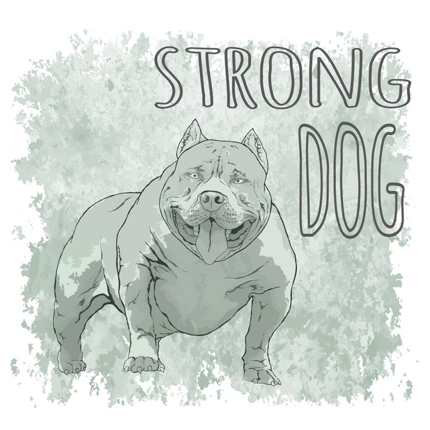 gyönyörű háttér erős pit bull dog1 - Vektor, kép
