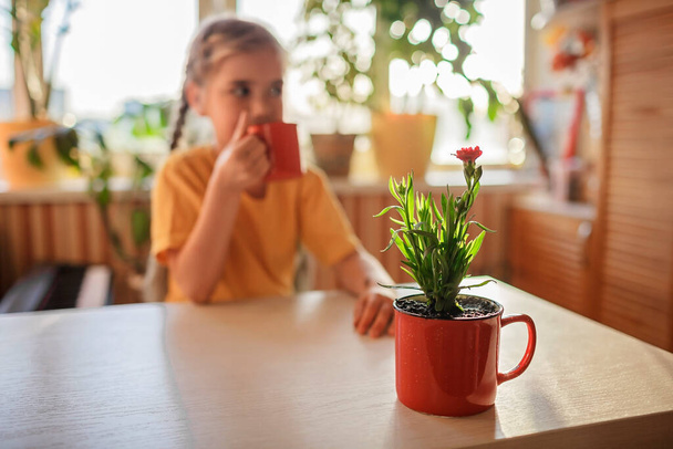 Lány kávézás és élvezi a zöld virágzó virág újra ültetett piros bögre, házi virág dekoráció - Fotó, kép