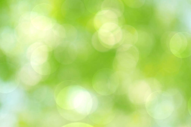 Абстрактный размытый зеленый фон
 - Фото, изображение