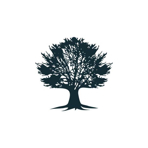 Tammi puu logo suunnittelu vektori malli - Vektori, kuva