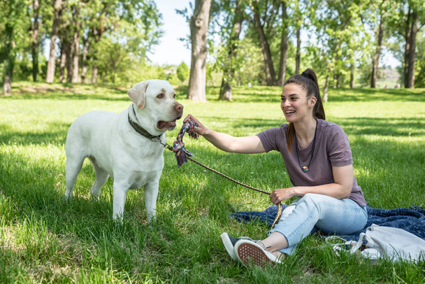 Young woman sitting on the grass in the park with her pet dog golden Labrador Retriever and enjoying the sunny warm day in the nature with her friend - Fotografie, Obrázek