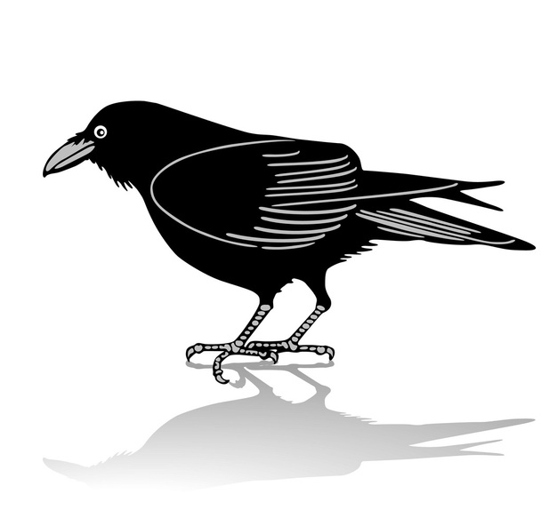Raven - Vector, Image