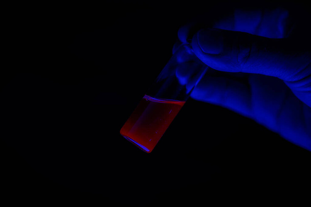 Chemiczny reasercher trzymający czerwony fluorescencyjny roztwór fotochemiczny w małej szklanej fiolce do badań farmaceutycznych - Zdjęcie, obraz