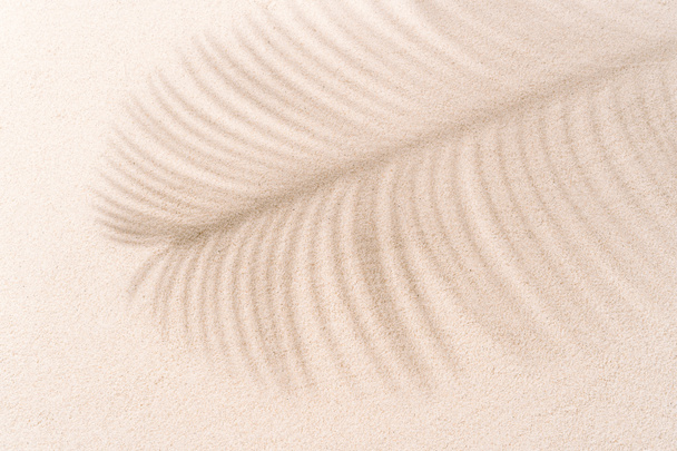 Тропічний пляжний пісок з тінями листя кокосової пальми влітку. Концепція подорожей та відпусток фон
. - Фото, зображення