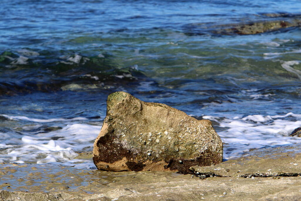 Большие камни лежат на берегу Средиземного моря в северной части Израиля  - Фото, изображение