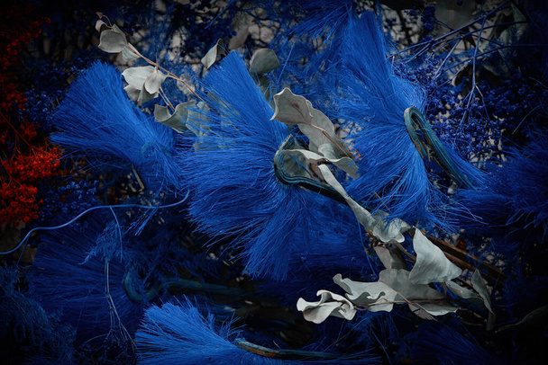 flores decorativas secas azules primer plano - Foto, Imagen