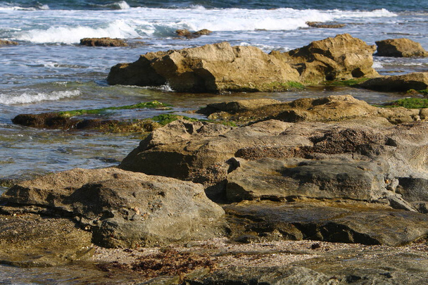Большие камни лежат на берегу Средиземного моря в северной части Израиля  - Фото, изображение