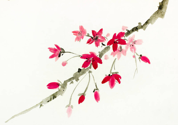 branch of blossoming sakura on a light background - Foto, afbeelding