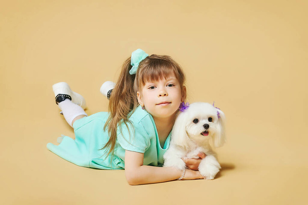 Маленькая девочка лежит на полу с мальтийской собакой. фотосессия в студии на желтом фоне. - Фото, изображение