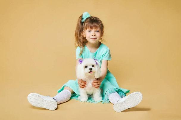 little girl sits on the floor and hugs a Maltese lap dog . photo shoot in the studio on a yellow background. - Foto, afbeelding