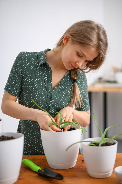 Girl transplanting plants at home in white pots - Foto, Imagen